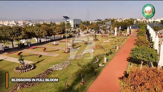 DHA PHASE 3 ARMY ALLOCATION  BLOCK H Road 1 Plot On Call  Near to Lake  Good Location