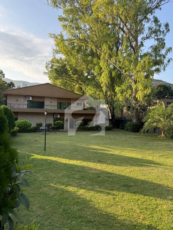 Fully Furnished House With Big Lawn Fully Furnished House With Big Lawn