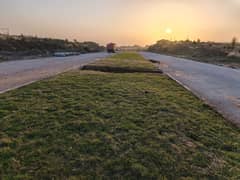 1 KANAL Residential Plot For Sale In C-16