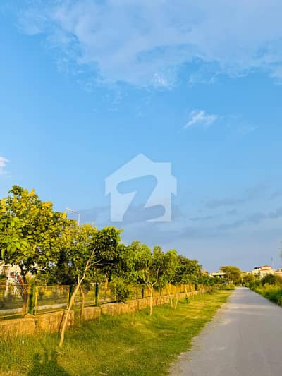 Premium 4.44 Marla Level Plot for Sale CDA Sector D-12/1, Islamabad