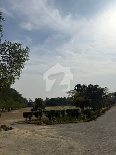 4 MARLA NEAR MARKET PLOT AVAILABLE FOR SALE