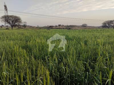 Farm House Available For Sale