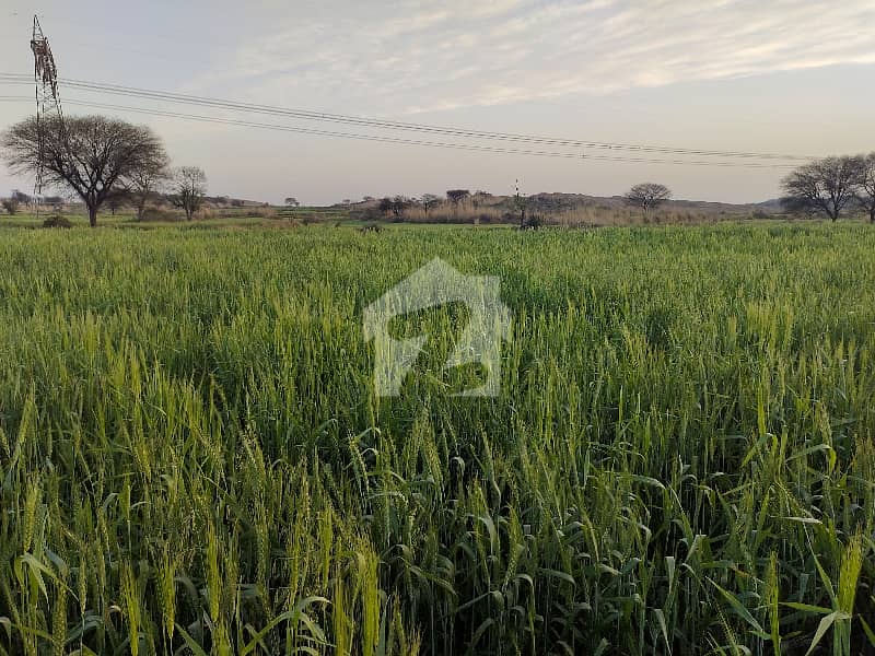 Farm House Available For Sale Farm House Available For Sale