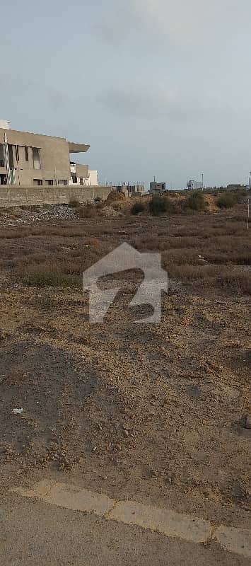 phase 8 zone D 500 yds plot for sale