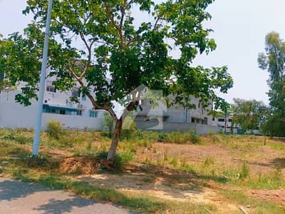 24 Marla Residential Corner Plot For Sale in Ex-Air Avenue DHA Phase 8 Block-P 24 Marla Residential Corner Plot For Sale in Ex-Air Avenue DHA Phase 8 Block-P