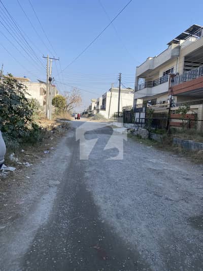 Golden Chance 50feet Road