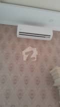 2 2