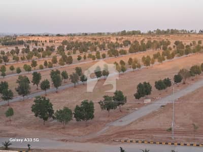 8 Marla Corner Residential Plot Is Available For Sale