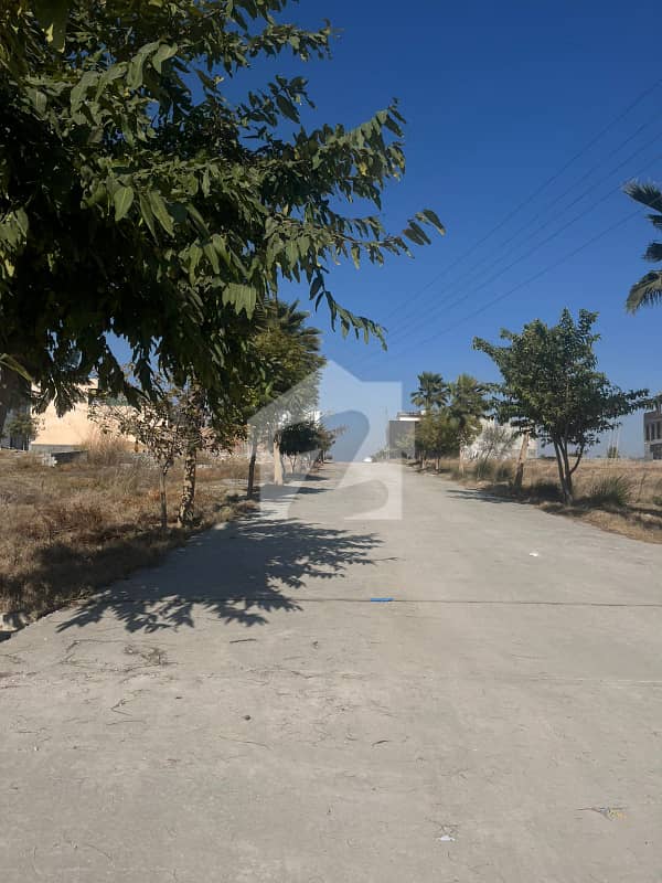 Commercial Plot For Sale In Zamar Valley Commercial Plot For Sale In Zamar Valley