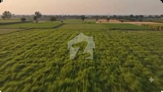 Lahore Organic Farms Society Located on Main Barki Road, Lahore.