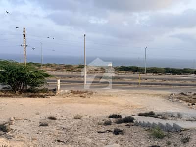 1000 Square Yards Residential Plot For Sale In Singhar Housing Scheme 1000 Square Yards Residential Plot For Sale In Singhar Housing Scheme