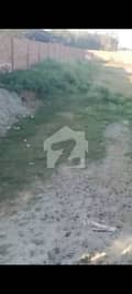 6 6