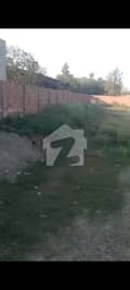 7 7