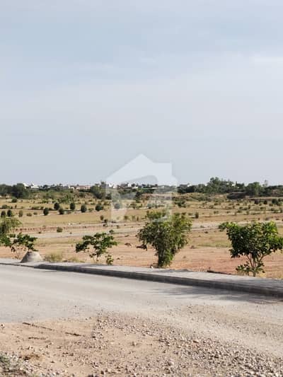 DHA Phase6 Sector B3  Good Location Near To Mosque Park