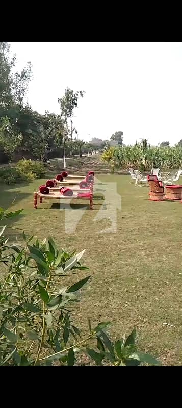Commercial Farmhouse Ideal For Factory , House And Commercial Activity