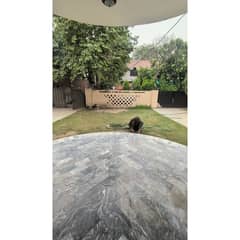 21 Marla Chaplet Double Unit House For Sale In B Block Canal View Lahore