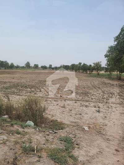 فیصل آباد بائی پاس روڈ فیصل آباد میں 18 کنال زرعی زمین 9.0 کروڑ میں برائے فروخت۔