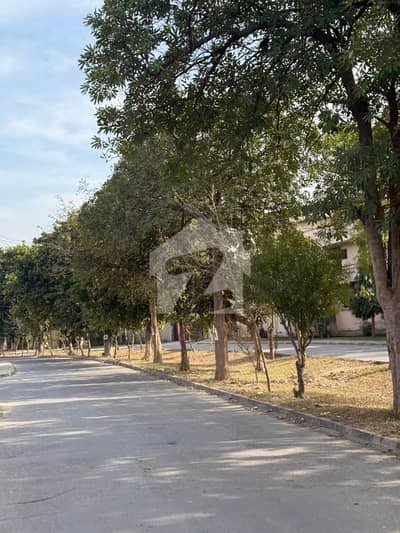 5 MARLA RESIDENTIAL PLOT AVAILABLE FOR SALE AT GREAT LOCATION IN EDEN Boulevard HOUSING SOCIETY COLLAGE ROAD LAHORE