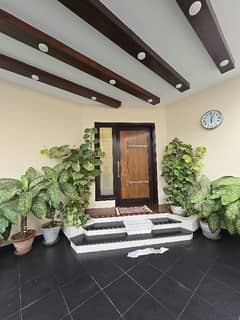 500 Sq. Yards Bungalow For Rent DHA Phase 5, Khayaban-E-Shamsheer, Karachi