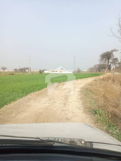 جی ٹی روڈ راولپنڈی میں 85 کنال زرعی زمین 34.0 کروڑ میں برائے فروخت۔