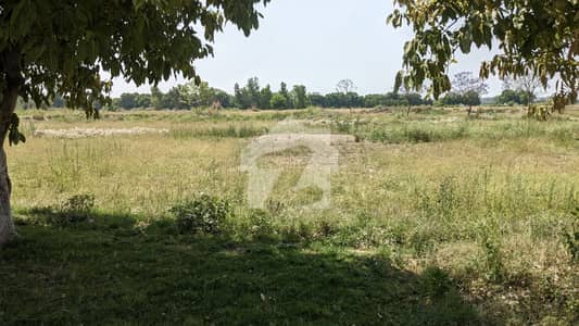 Luxury 1 Kanal Plot for Sale | DHA Phase 8 Ivy Green Sector Z | Prime Investment Opportunity