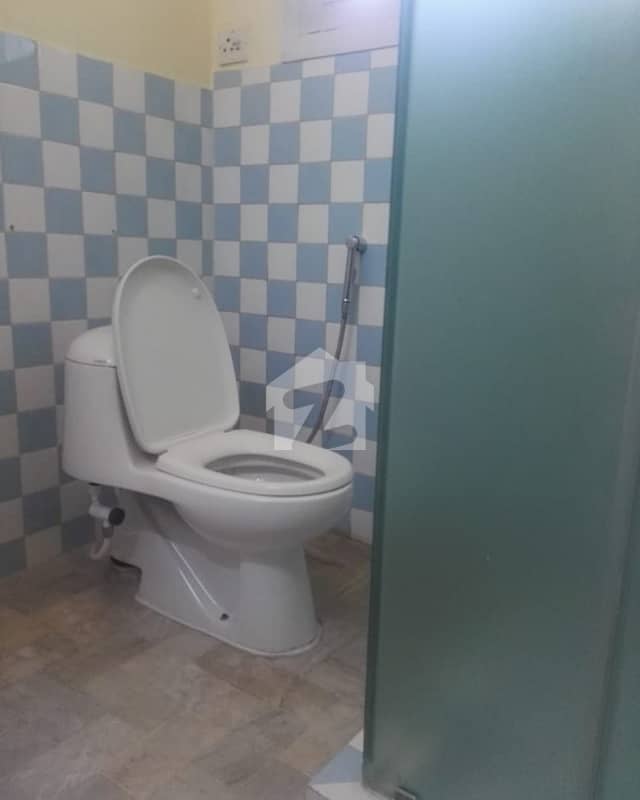 6 6