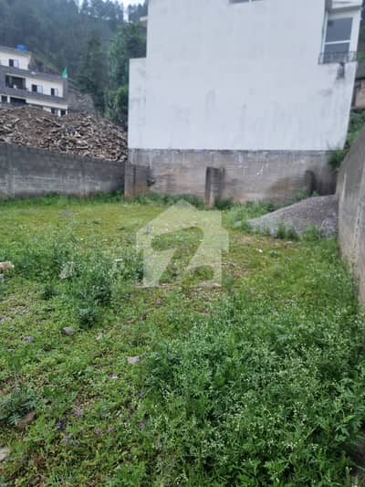 8 Marla Solid Residential Plot
