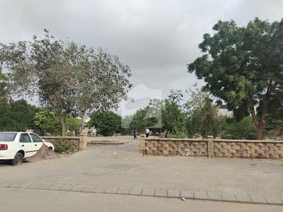 West Open Plot Available for Sale