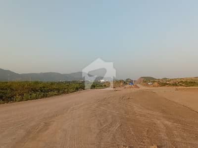 PLOT C-14 PLOT DOUBLE ROAD