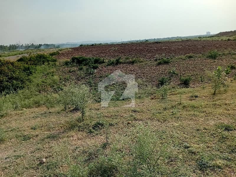 ای ۔ 12/2 ای ۔ 12,اسلام آباد میں 1 کنال رہائشی پلاٹ 7.15 کروڑ میں برائے فروخت۔ ای ۔ 12/2 ای ۔ 12,اسلام آباد میں 1 کنال رہائشی پلاٹ 7.15 کروڑ میں برائے فروخت۔