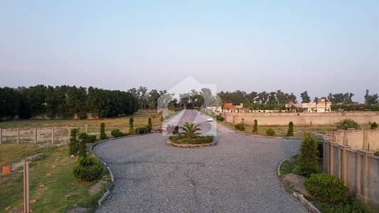 Farmhouse Land For Sale In Badia Road Lahore