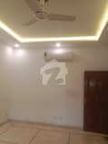 7 7