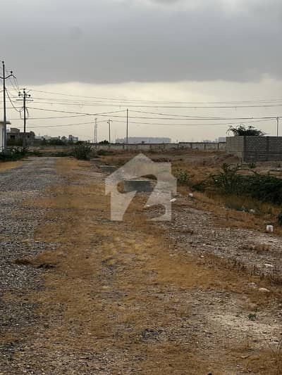 GREAT OPPORTUNITY FOR INVESTMENT FOR MEMON