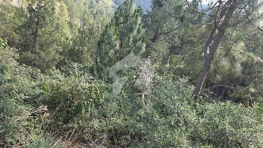 2 Kanal Plot In Pine City