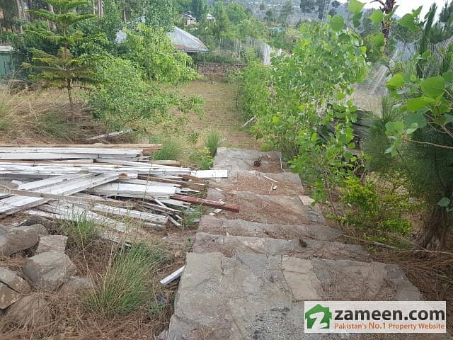 3 Kanal Farmhouse In Murree Resorts With Lush Green Scenic View