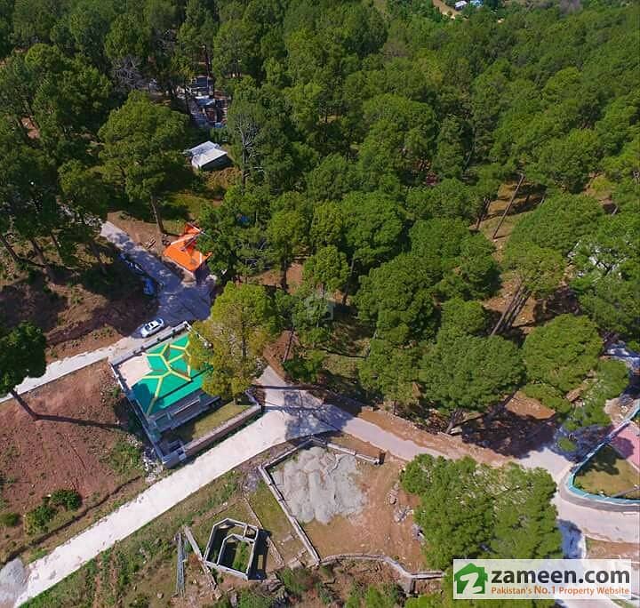 1 Kanal Plot For Sale In Lush Green Scenic View Of Murree Resorts