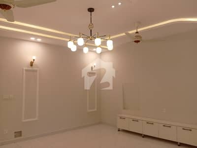 Brand New Lower Ground Portion For Rent