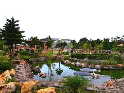 Get A 1 Kanal Residential Plot For Sale In MPCHS - Block B