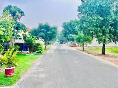 5 Marla Plot For Sale On Hot Location