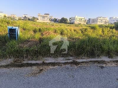 8 Kanal Plot For Sale 8 Kanal Plot For Sale