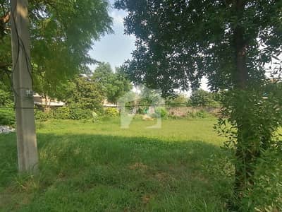 Centrally Located On Excellent Location Residential Plot For Sale In P & D Housing Society - Block A1 Available