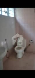 3 3