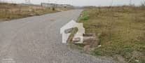 5 5