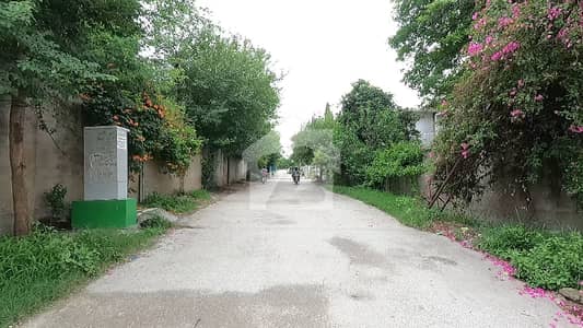 Plot For Sale In Tulsa Road Lalazar Few Steps From SLS School And Main Tulsa Chowk Plot For Sale In Tulsa Road Lalazar Few Steps From SLS School And Main Tulsa Chowk