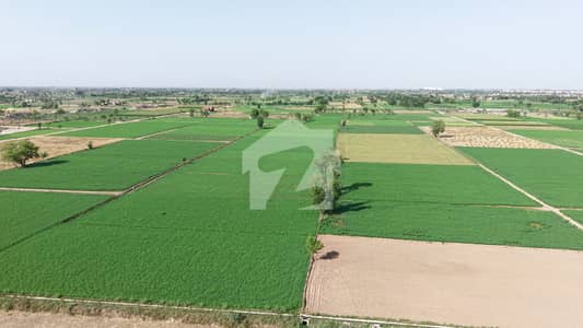ستیانہ روڈ فیصل آباد میں 1200 کنال زرعی زمین 37.5 کروڑ میں برائے فروخت۔