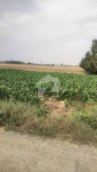 LDA city land for sale just 4 kanal price negotiable.