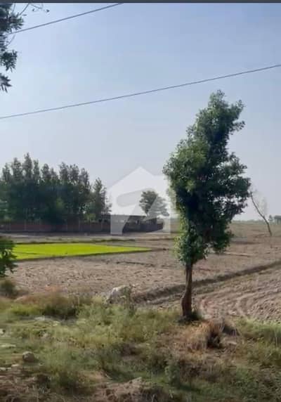 سوئے-اے-اصل روڈ لاہور میں 100 کنال کمرشل پلاٹ 80.0 کروڑ میں برائے فروخت۔