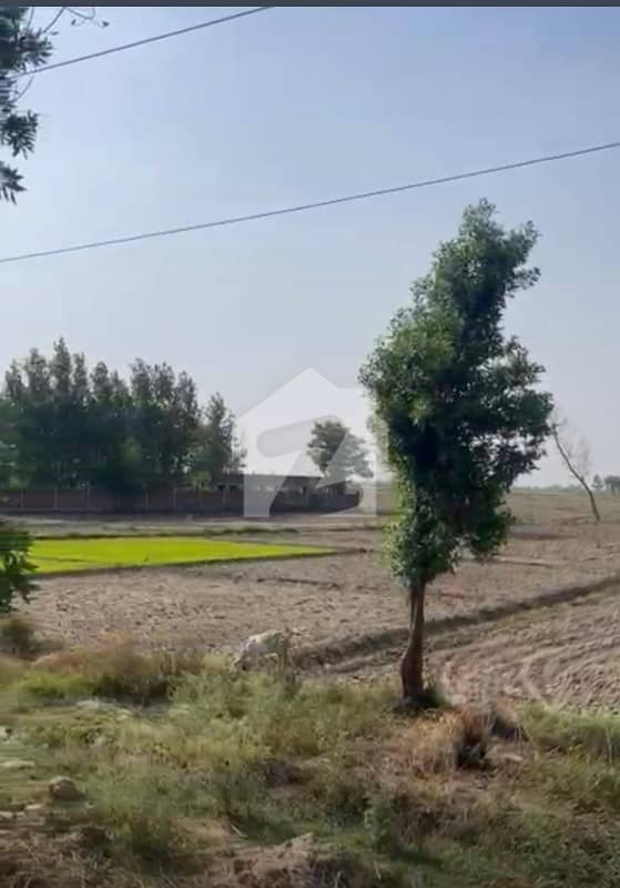 390 feet Main Road Front Plot For Sale 390 feet Main Road Front Plot For Sale