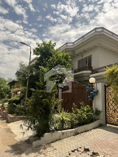 Your Search For Upper Portion In I-8 Ends Here