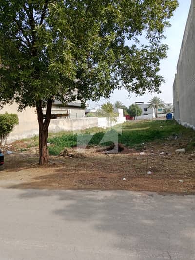 ٹی آئی پی ہاؤسنگ سوسائٹی ۔ فیز2 ٹی آئی پی ہاؤسنگ سوسائٹی,لاہور میں 18 مرلہ رہائشی پلاٹ 1.8 کروڑ میں برائے فروخت۔ ٹی آئی پی ہاؤسنگ سوسائٹی ۔ فیز2 ٹی آئی پی ہاؤسنگ سوسائٹی,لاہور میں 18 مرلہ رہائشی پلاٹ 1.8 کروڑ میں برائے فروخت۔